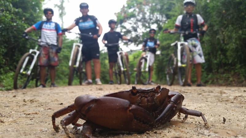 LA RUTA DE LOS NATIVOS CHANCAS LAMISTAS FULL DAY