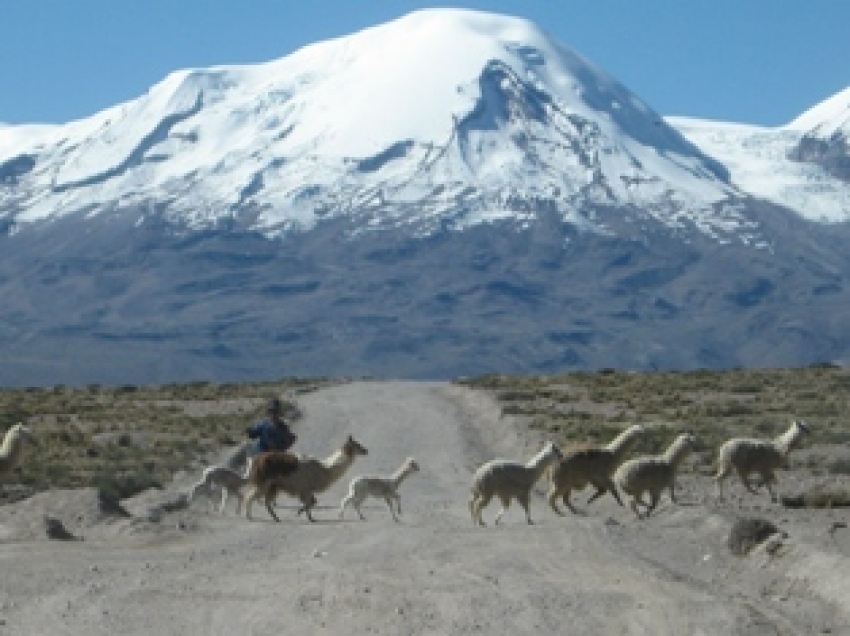 Trekking al Nevado Coropuna
