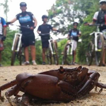 LA RUTA DE LOS NATIVOS CHANCAS LAMISTAS FULL DAY