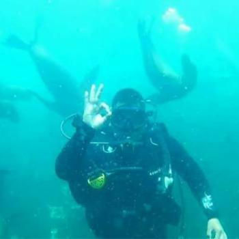 Buceo en Moquegua