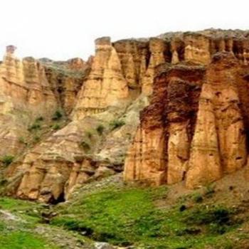 Bosque de Piedra de Torre Torre