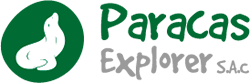 Paracas Explorer