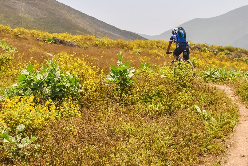 Explorando a imensidão do horizonte - Imagen 7