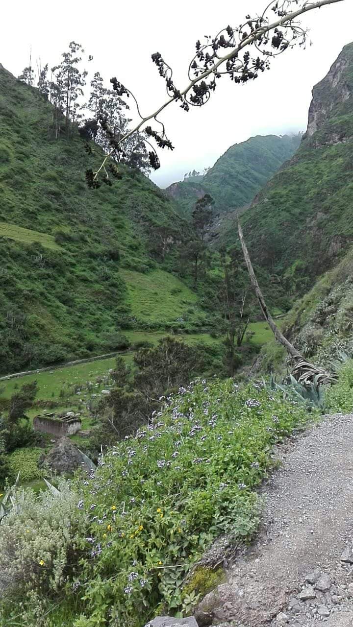 Cachoeira Antankallo