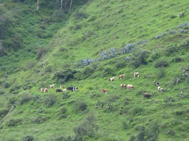 Cachoeira Antankallo - Imagen 24