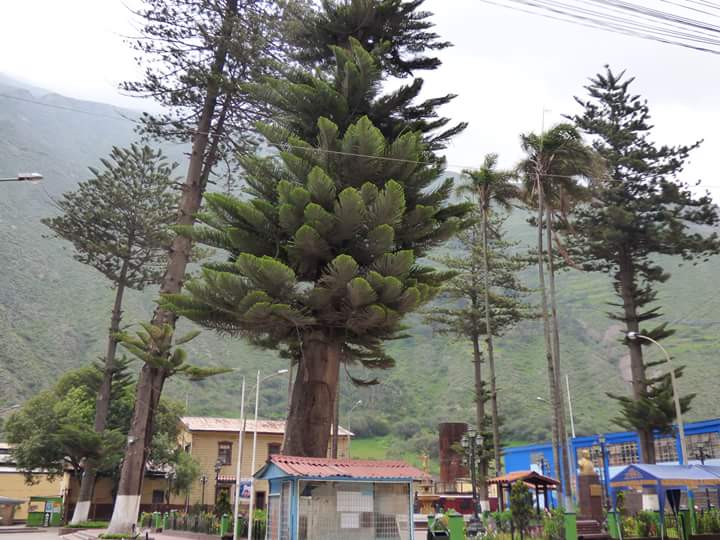 Cachoeira Antankallo - Imagen 53