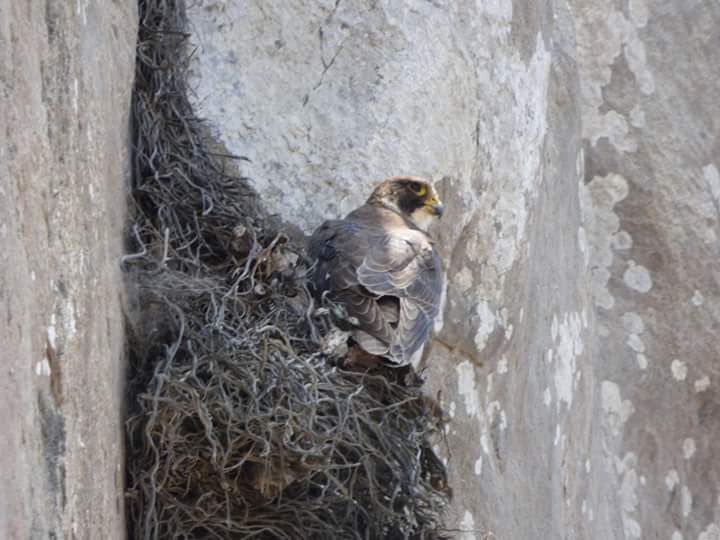 Colinas de Lúcumo - Imagen 26