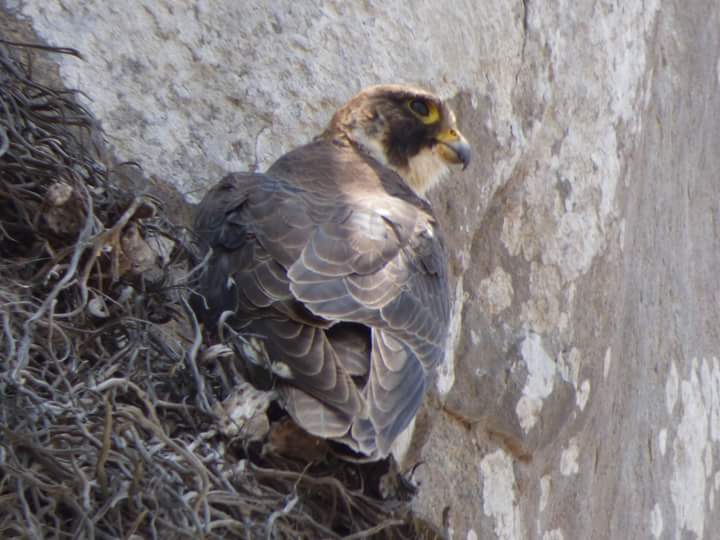 Colinas de Lúcumo - Imagen 25