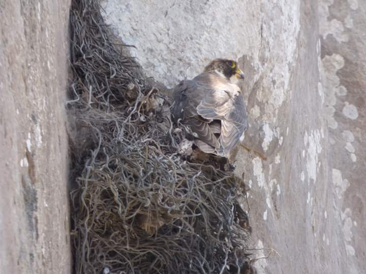 Colinas de Lúcumo - Imagen 27