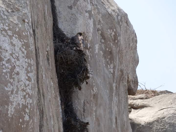 Colinas de Lúcumo - Imagen 28