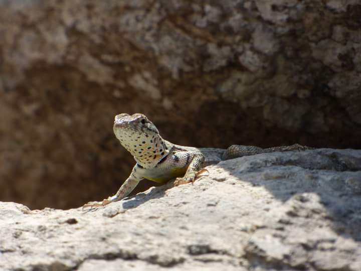 Colinas de Lúcumo - Imagen 32