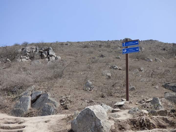 Colinas de Lúcumo - Imagen 47