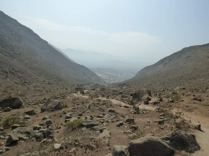 Colinas de Lúcumo - Imagen 64