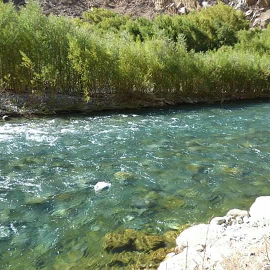 O Paraíso Andino - Imagen 2