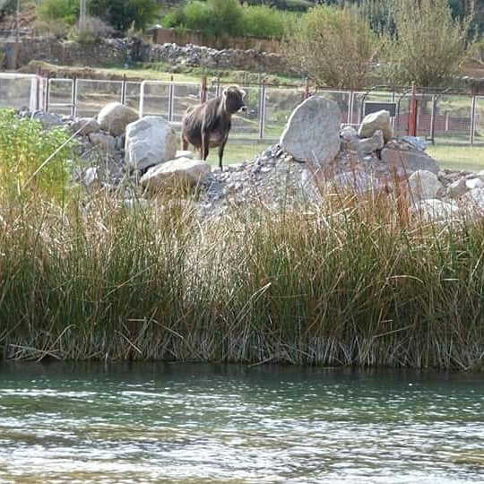 O Paraíso Andino - Imagen 9