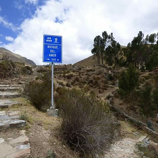 O Paraíso Andino - Imagen 25