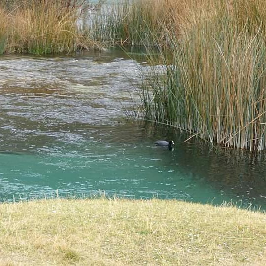 O Paraíso Andino - Imagen 26