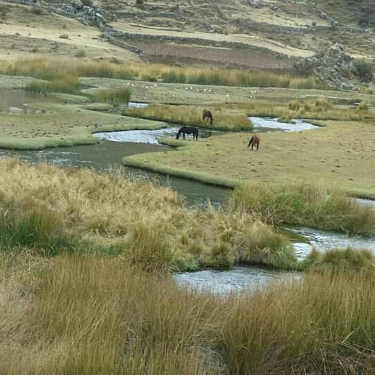 O Paraíso Andino - Imagen 35