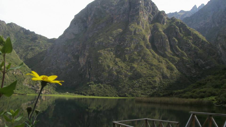 Explorando o paraíso - Imagen 5