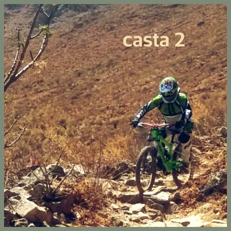 casta 2 -> casta 2