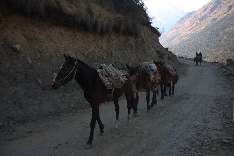 salkantay - Imagen 4