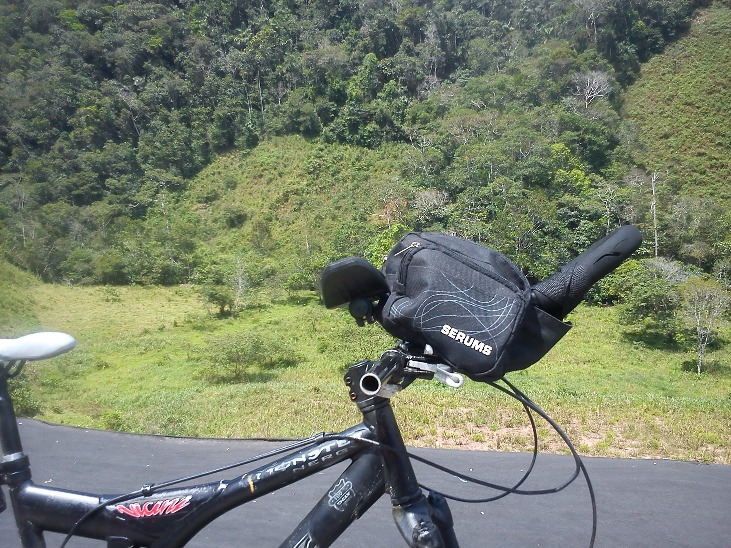 MOYOBAMBA PARA TARAPOTO - Imagen 3