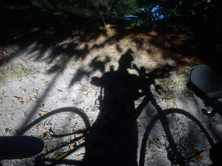 MOYOBAMBA PARA TARAPOTO - Imagen 4