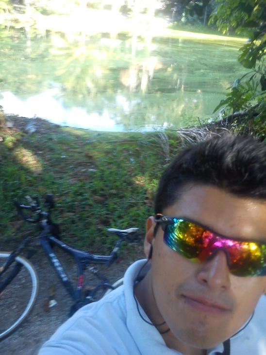 MOYOBAMBA PARA TARAPOTO - Imagen 5