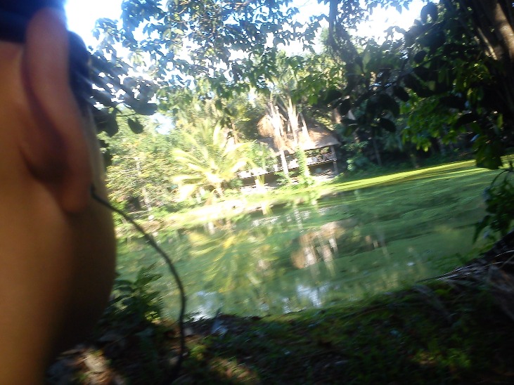 MOYOBAMBA PARA TARAPOTO - Imagen 6