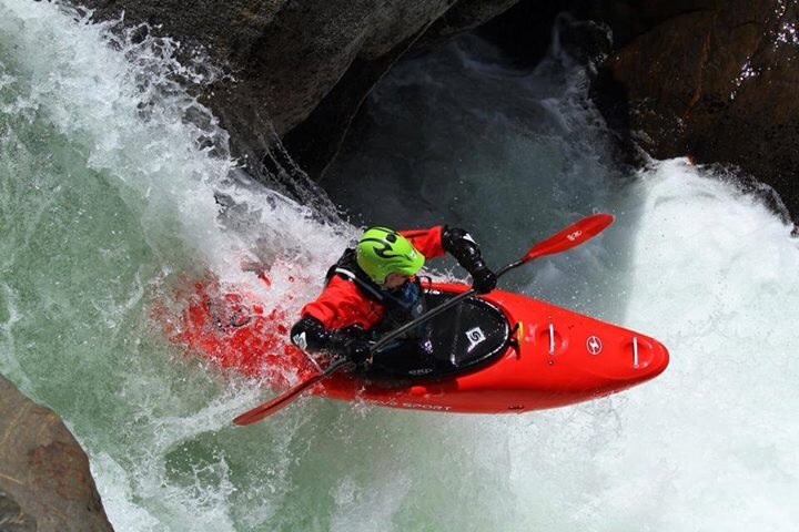 Vida pura - Imagen 2