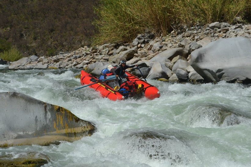 Vida pura - Imagen 3