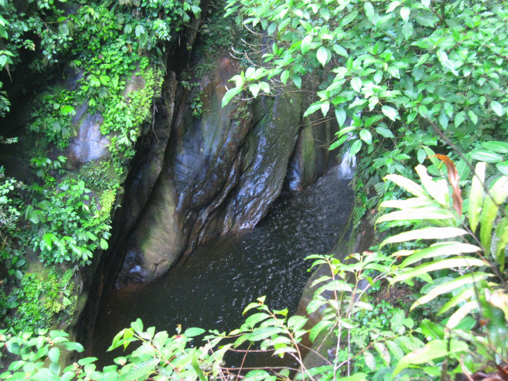 Correndo na selva de Tarapoto - Imagen 2