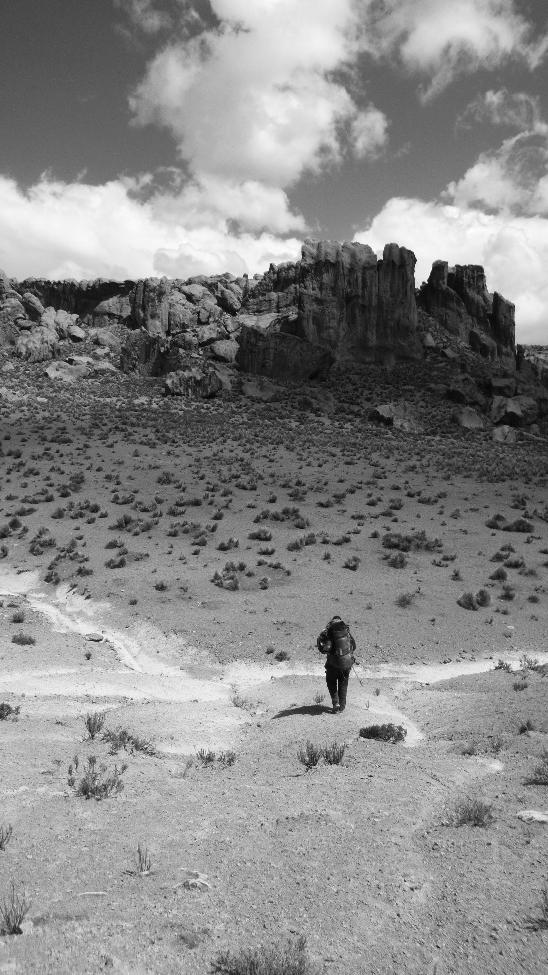 AQP vertical

AQP vertical - Imagen 5