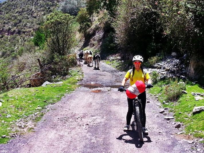 Rota até a represa de Yuracmayo - Imagen 5