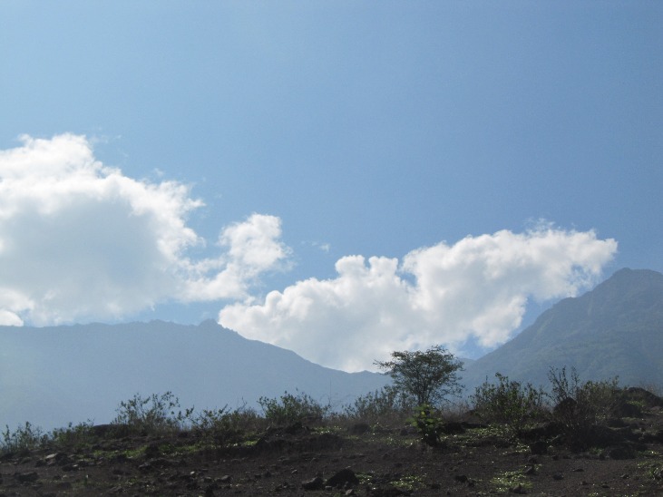 Explorando a Floresta de Zarate