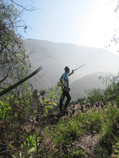 Explorando a Floresta de Zarate - Imagen 7