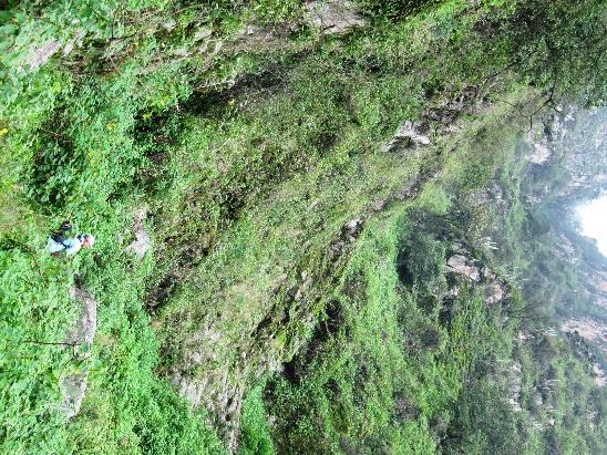 Explorando a Floresta de Zarate - Imagen 9