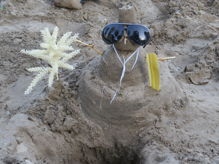 DIA MUNDIAL DA NEVE EM HUACACHINA - Imagen 6