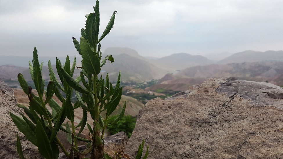 Passeio por Ilubaya Torata - Imagen 3