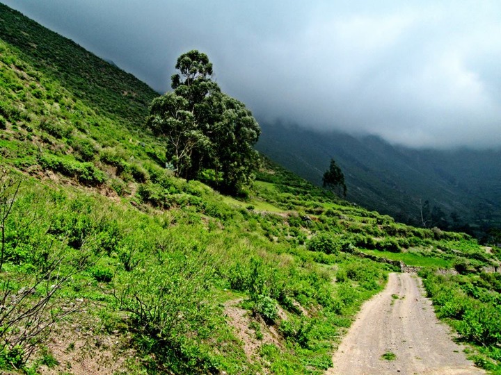 PAYHUA CAMINHO PARA O CÉU - Imagen 5