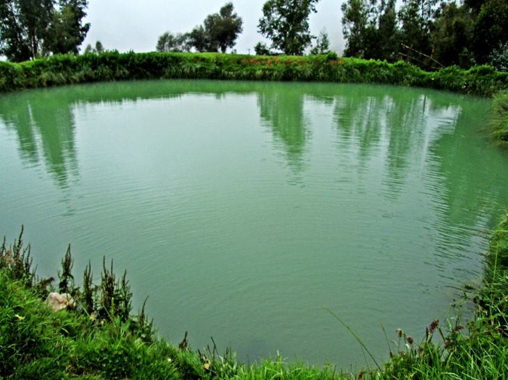 MARACHANCA E SUAS LAGOAS GÊMEAS ORCOCOCHA - Imagen 2
