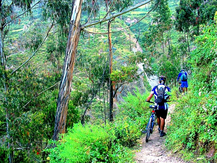 SAN JUAN DE ALLAUCA

SÃO JOÃO DE ALLAUCA - Imagen 5