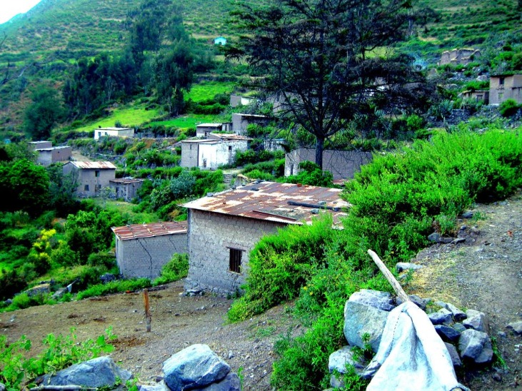 SAN JUAN DE ALLAUCA

SÃO JOÃO DE ALLAUCA - Imagen 7