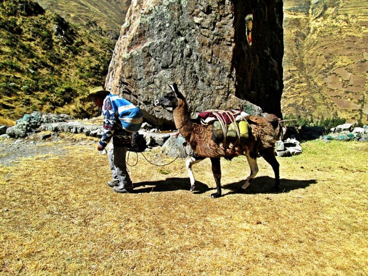 ABRA PISCHA - Imagen 2