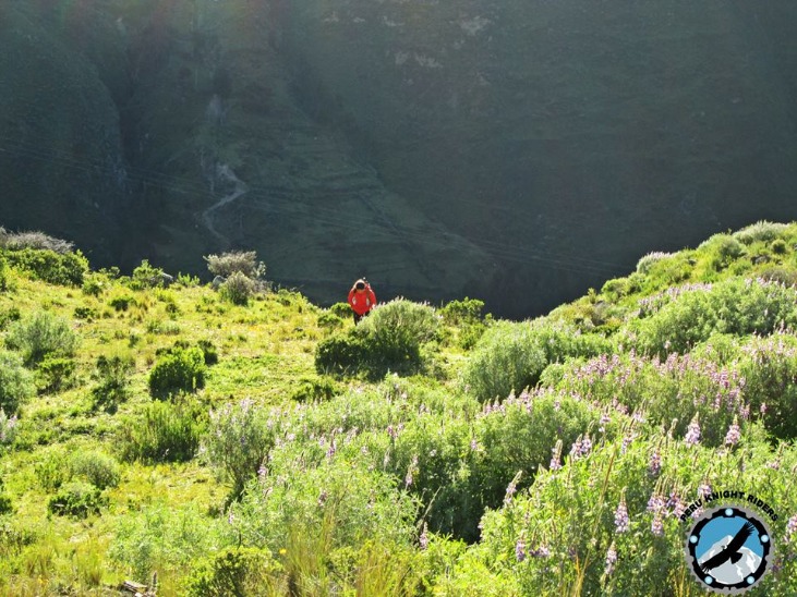 ABRA PISCHA - Imagen 8