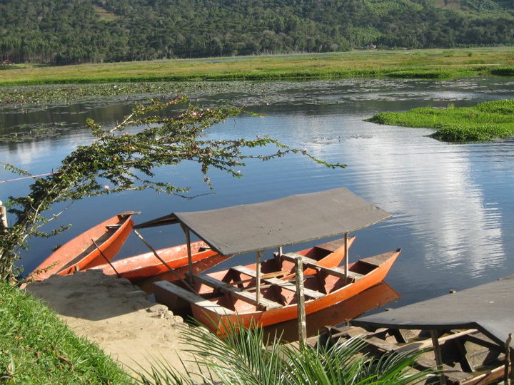 VILLA RICA

VILA RICA - Imagen 2