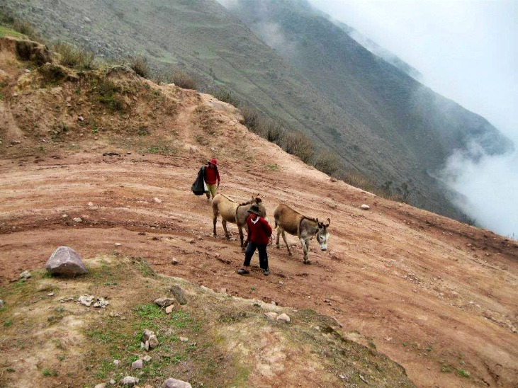 SAN ANTONIO DE CHACLLA

SÃO ANTONIO DE CHACLLA - Imagen 3