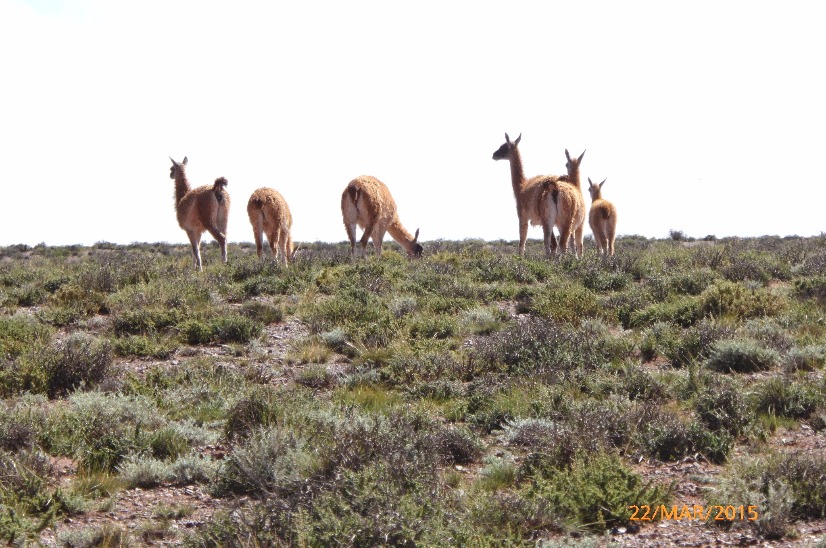 Fotosafari de descoberta