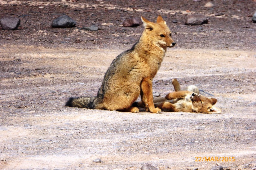 Fotosafari de descoberta - Imagen 4