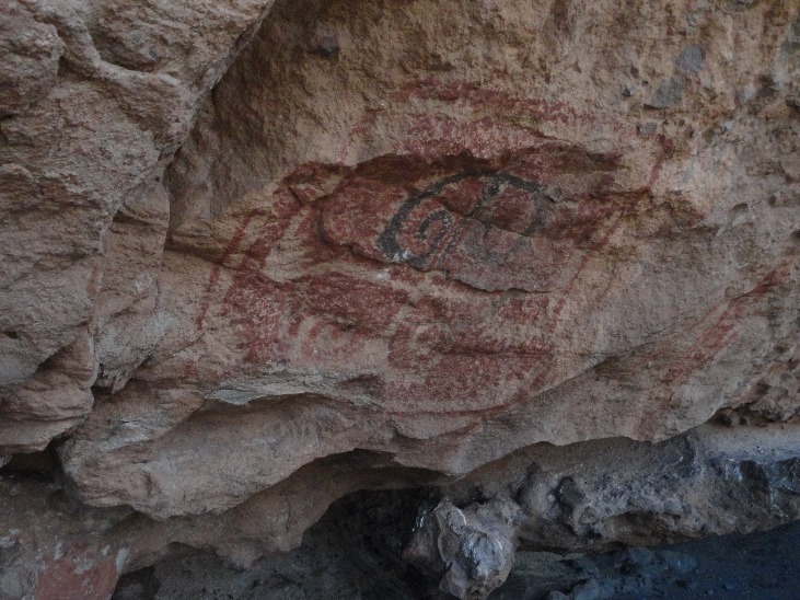 Fotosafari de descoberta - Imagen 5